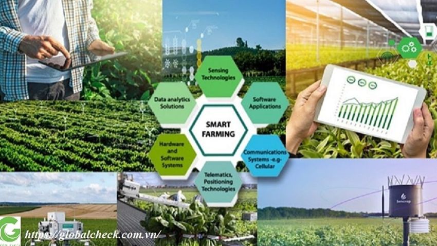 TS Trần Văn Đạt: Xây dựng nông nghiệp thông minh
