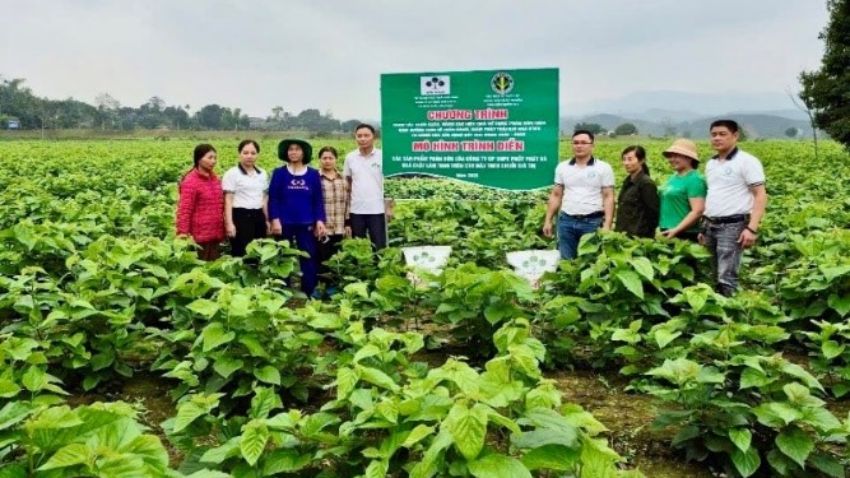 Gieo phân bón, Gặt tương lai: Câu chuyện chuyển mình của một thương hiệu quốc dân