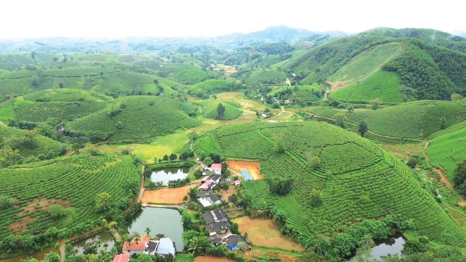 Phú Thọ phát triển nông nghiệp tuần hoàn tích hợp đa giá trị trong bối cảnh chuyển đổi xanh
