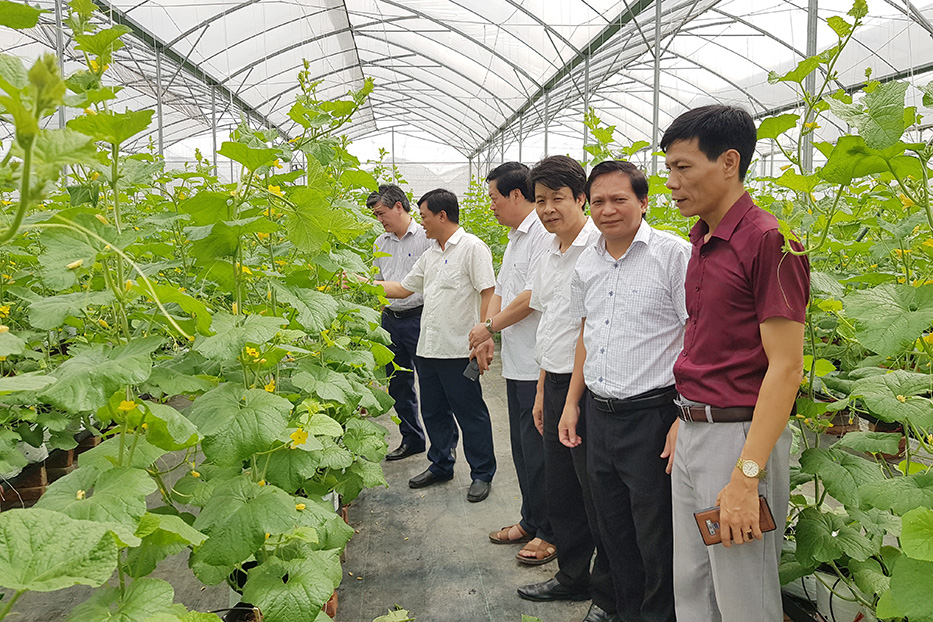 Nghiên cứu, khảo sát, học tập kinh nghiệm về phát triển kinh tế trang trại tại Bắc Giang