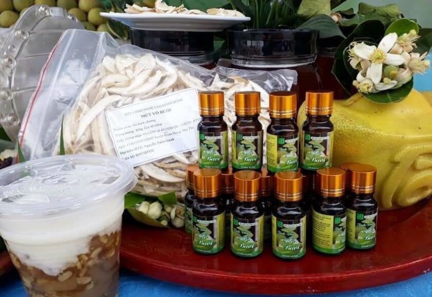 Đa dạng hóa các sản phẩm từ bưởi và hình thức làm kinh tế của người dân vùng bưởi Đoan Hùng
