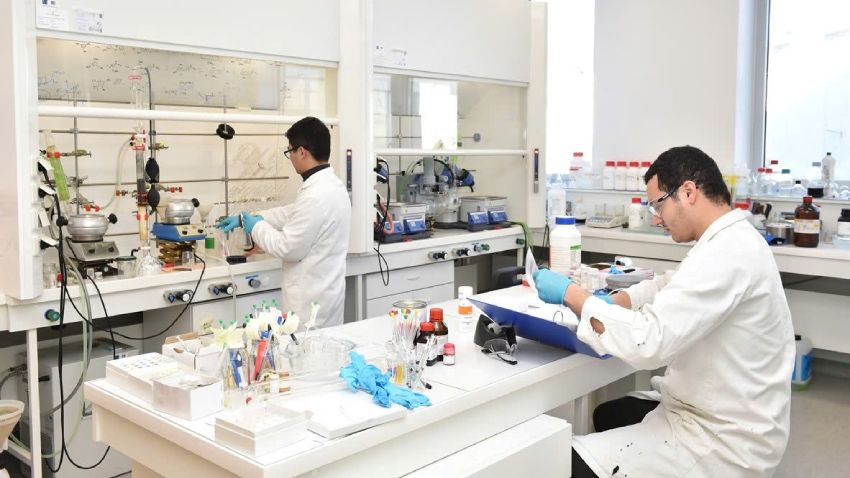 Phát triển nguyên liệu điều trị nấm Candida trong thú y