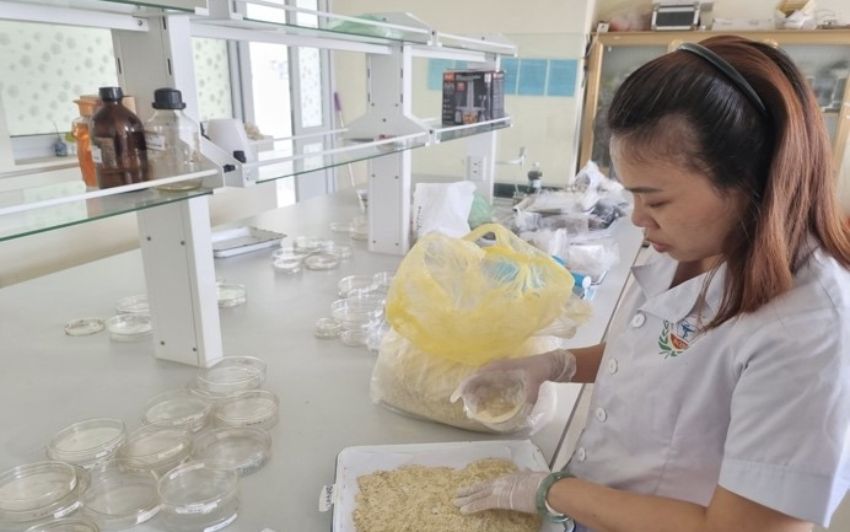 Trường Cao đẳng Y Dược Phú Thọ: Nghiên cứu xây dựng quy trình tổng hợp một số dẫn chất benzofuropyrimidin mới ứng dụng làm nguyên liệu sản xuất thuốc thú y điều trị bệnh nấm Candida