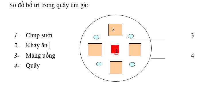 Kỹ thuật chăn nuôi gà nhiều cựa sinh sản theo hướng an toàn sinh học phù hợp với điều kiện sinh thái tỉnh Phú Thọ