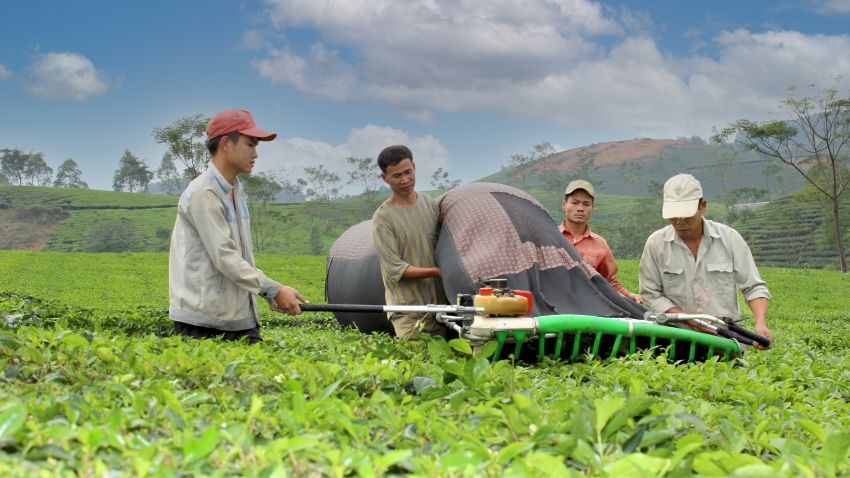 Để hương chè Phú Thọ bay xa