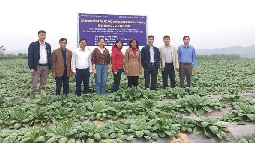 Khai thác và phát triển chuỗi giá trị dược liệu bản địa Phú Thọ theo hướng công nghệ sinh học hiện đại